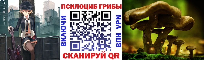 MEGA ТОР  Верещагино  Псилоцибиновые грибы Psilocybe 
